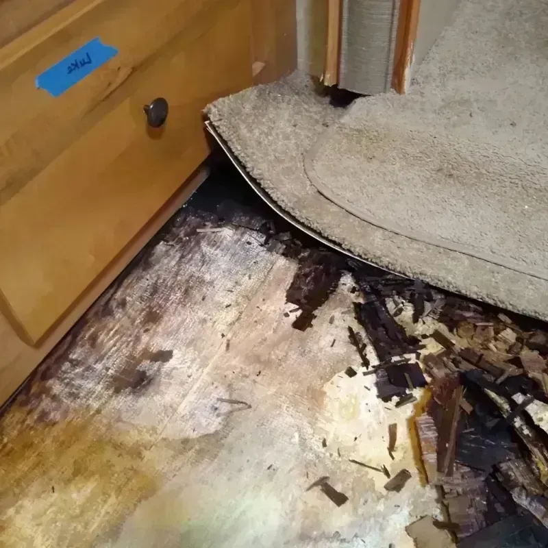 Best Wood Floor Water Damage Service in Polk City, FL